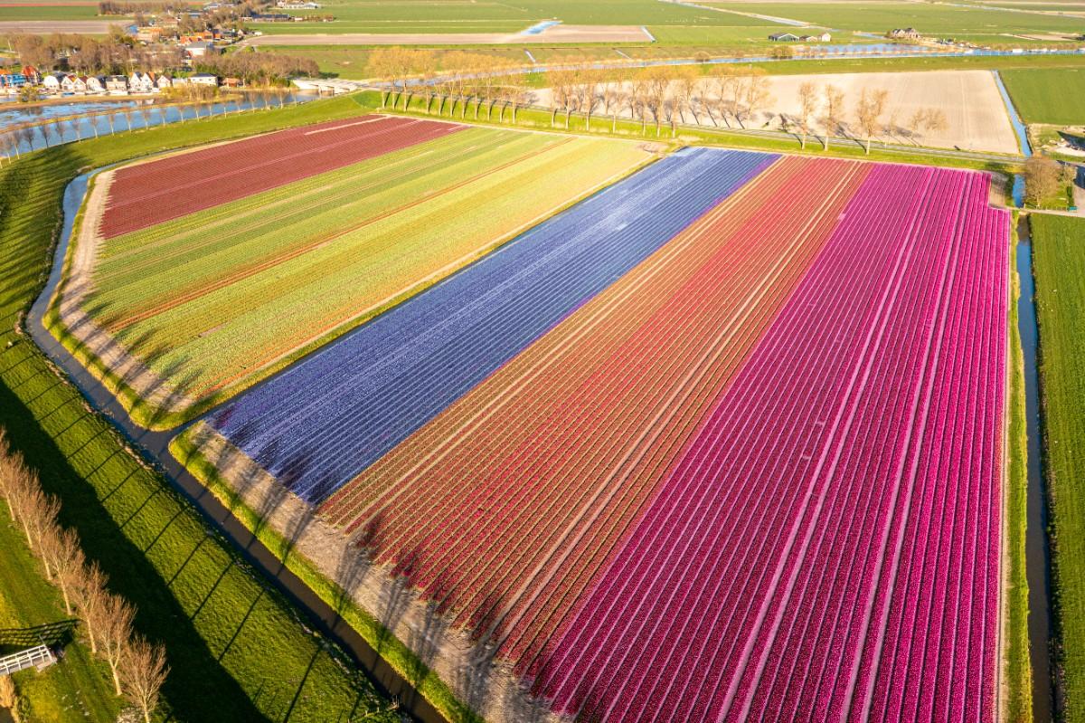Netherlands
